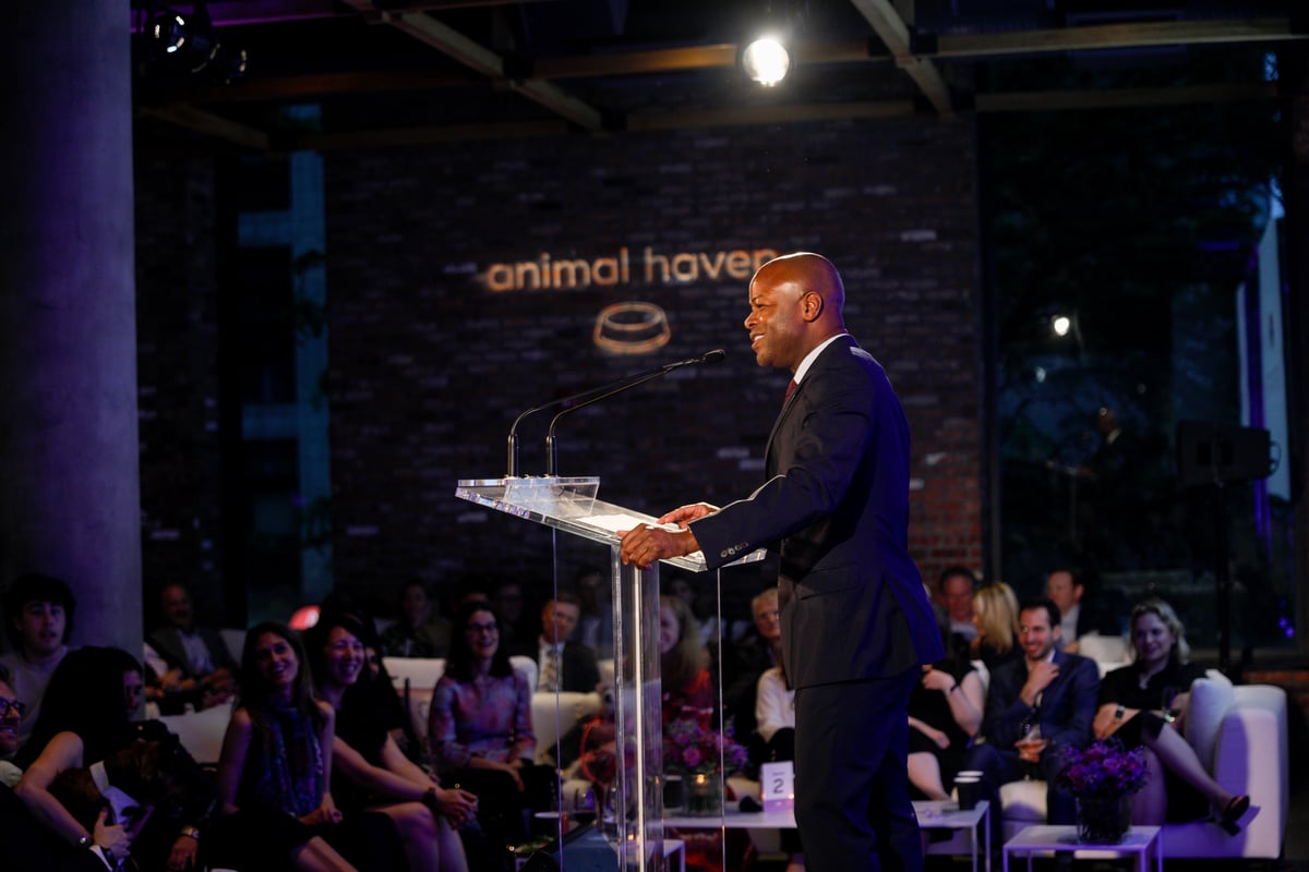 2024 Benefit for the Animals Recap! – Animal Haven
