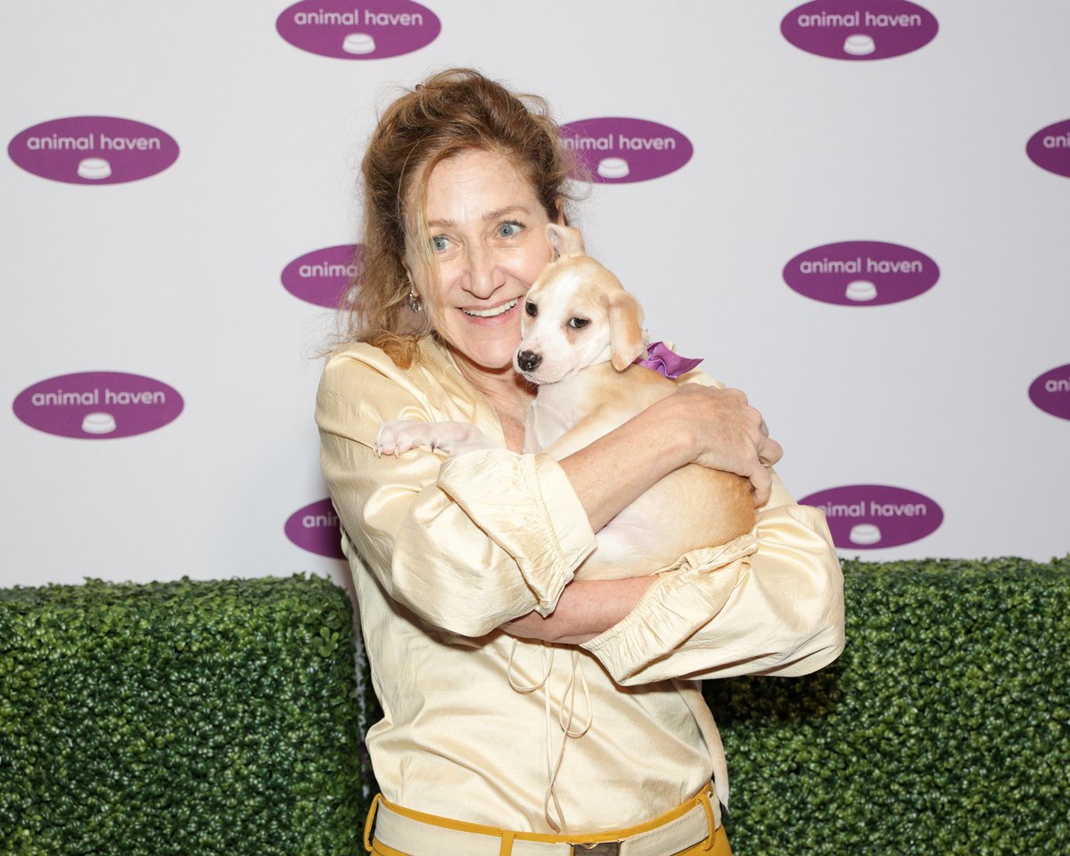 2024 Benefit for the Animals Recap! – Animal Haven