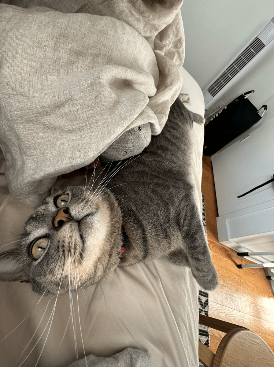 Rufus1